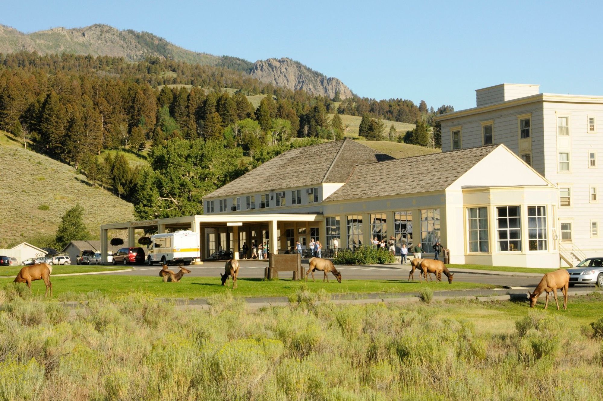 Mammoth Hot Springs Hotel Εξωτερικό φωτογραφία